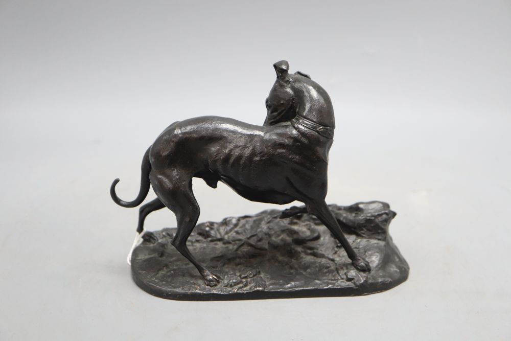 After Mene a bronze greyhound